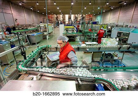 Labeling and packaging canned vegetables, Cans, Canning Industry, Agri-food, Logistics Center, Grupo Riberebro, Alfaro, La Rioja, Spain View Large Photo Image Stock Photography - Labeling and packaging canned vegetables, Cans, Canning Industry, Agri-food, Logistics Center, Grupo Riberebro, Alfaro, La Rioja, Spain. Fotosearch