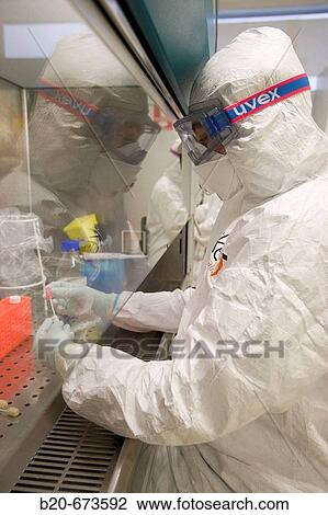 Stock Image - Labelling brushes, research on avian flu, Laboratory of Bio-Safety Level P3, Departamento de Producci? n y Sanidad Animal, Neiker Tecnalia, Instituto de Investigaci? n y Desarrollo Agrario, Ganadero, Forestal y del Medio Natural, Euskadi, Spain. Fotosearch