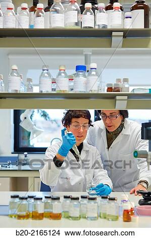 Picture - Laboratory. Energy and Environment Division. Tecnalia Research and Innovation. Miano. Alava. Basque Country. Spain.. Fotosearch