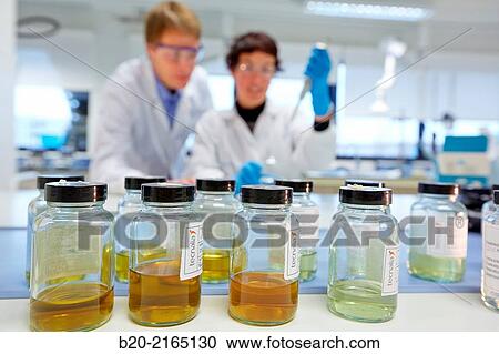 Laboratory. Energy and Environment Division. Tecnalia Research and Innovation. Miano. Alava. Basque Country. Spain. View Large Photo Image Stock Image - Laboratory. Energy and Environment Division. Tecnalia Research and Innovation. Miano. Alava. Basque Country. Spain.. Fotosearch