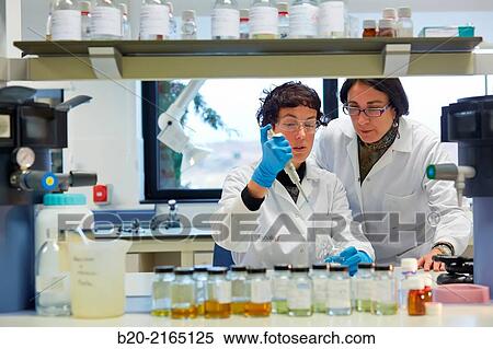 Stock Photography - Laboratory. Energy and Environment Division. Tecnalia Research and Innovation. Miano. Alava. Basque Country. Spain.. Fotosearch