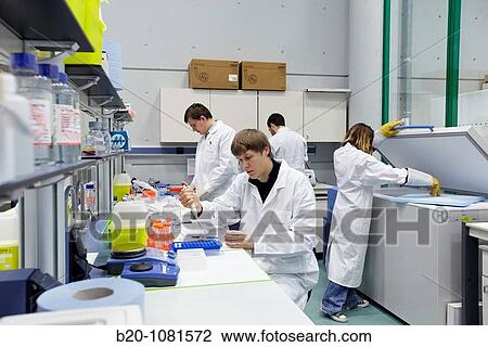 Laboratory of Nanobiotechnology, CIC nanoGUNE, Nanoscience Cooperative Research Center, San Sebastian, Gipuzkoa, Euskadi, Spain View Large Photo Image Stock Image - Laboratory of Nanobiotechnology, CIC nanoGUNE, Nanoscience Cooperative Research Center, San Sebastian, Gipuzkoa, Euskadi, Spain. Fotosearch