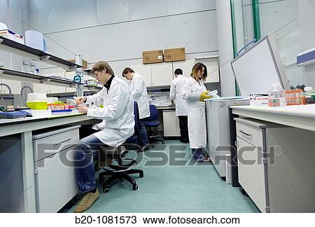 Laboratory of Nanobiotechnology, CIC nanoGUNE, Nanoscience Cooperative Research Center, San Sebastian, Gipuzkoa, Euskadi, Spain View Large Photo Image Stock Image - Laboratory of Nanobiotechnology, CIC nanoGUNE, Nanoscience Cooperative Research Center, San Sebastian, Gipuzkoa, Euskadi, Spain. Fotosearch