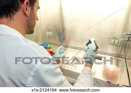 Laboratory research in the 21st Century. View Large Photo Image Picture - Laboratory research in the 21st Century.. Fotosearch