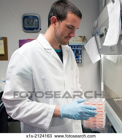 Laboratory research in the 21st Century. View Large Photo Image Stock Image - Laboratory research in the 21st Century.. Fotosearch