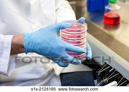 Stock Photography - Laboratory research in the 21st Century.. Fotosearch