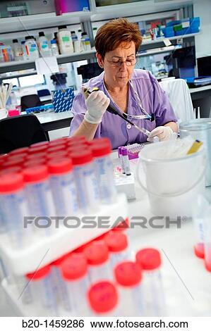 Stock Photograph - Laboratory technician using micropipette, Neuroscience lab, Research in neuromuscular disorders, neurodegenerative diseases, parkinson, dementia and multiple sclerosis, Biodonostia Health and Biomedicine Research Institute. Fotosearch