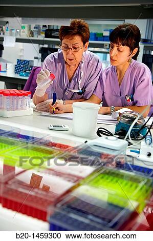 Laboratory technicians, Neuroscience lab, Research in neuromuscular disorders, neurodegenerative diseases, parkinson, dementia and multiple sclerosis, Biodonostia Health and Biomedicine Research Institute, San Sebastian, Donostia, Gipuzkoa, Euskadi, Spain View Large Photo Image Stock Image - Laboratory technicians, Neuroscience lab, Research in neuromuscular disorders, neurodegenerative diseases, parkinson, dementia and multiple sclerosis, Biodonostia Health and Biomedicine Research Institute, San Sebastian, Donostia, Gipuzkoa, Euskadi, Spain. Fotosearch