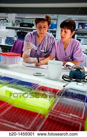 Laboratory technicians, Neuroscience lab, Research in neuromuscular disorders, neurodegenerative diseases, parkinson, dementia and multiple sclerosis, Biodonostia Health and Biomedicine Research Institute, San Sebastian, Donostia, Gipuzkoa, Euskadi, Spain View Large Photo Image Stock Image - Laboratory technicians, Neuroscience lab, Research in neuromuscular disorders, neurodegenerative diseases, parkinson, dementia and multiple sclerosis, Biodonostia Health and Biomedicine Research Institute, San Sebastian, Donostia, Gipuzkoa, Euskadi, Spain. Fotosearch