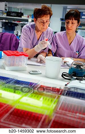 Laboratory technicians, Neuroscience lab, Research in neuromuscular disorders, neurodegenerative diseases, parkinson, dementia and multiple sclerosis, Biodonostia Health and Biomedicine Research Institute, San Sebastian, Donostia, Gipuzkoa, Euskadi, Spain View Large Photo Image Stock Image - Laboratory technicians, Neuroscience lab, Research in neuromuscular disorders, neurodegenerative diseases, parkinson, dementia and multiple sclerosis, Biodonostia Health and Biomedicine Research Institute, San Sebastian, Donostia, Gipuzkoa, Euskadi, Spain. Fotosearch