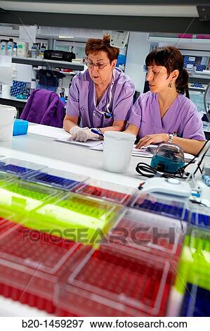 Laboratory technicians, Neuroscience lab, Research in neuromuscular disorders, neurodegenerative diseases, parkinson, dementia and multiple sclerosis, Biodonostia Health and Biomedicine Research Institute, San Sebastian, Donostia, Gipuzkoa, Euskadi, Spain View Large Photo Image Stock Photo - Laboratory technicians, Neuroscience lab, Research in neuromuscular disorders, neurodegenerative diseases, parkinson, dementia and multiple sclerosis, Biodonostia Health and Biomedicine Research Institute, San Sebastian, Donostia, Gipuzkoa, Euskadi, Spain. Fotosearch