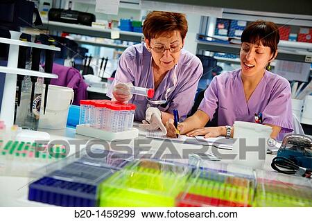 Laboratory technicians, Neuroscience lab, Research in neuromuscular disorders, neurodegenerative diseases, parkinson, dementia and multiple sclerosis, Biodonostia Health and Biomedicine Research Institute, San Sebastian, Donostia, Gipuzkoa, Euskadi, Spain View Large Photo Image Stock Photo - Laboratory technicians, Neuroscience lab, Research in neuromuscular disorders, neurodegenerative diseases, parkinson, dementia and multiple sclerosis, Biodonostia Health and Biomedicine Research Institute, San Sebastian, Donostia, Gipuzkoa, Euskadi, Spain. Fotosearch