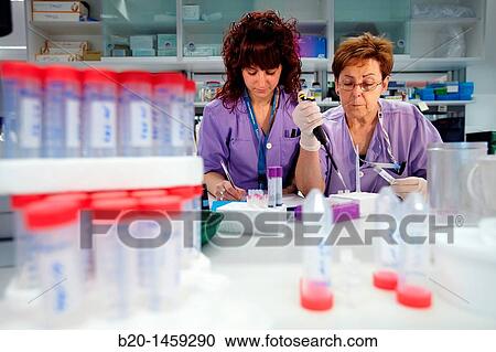 Laboratory technicians using micropipette, Neuroscience lab, Research in neuromuscular disorders, neurodegenerative diseases, parkinson, dementia and multiple sclerosis, Biodonostia Health and Biomedicine Research Institute View Large Photo Image Stock Image - Laboratory technicians using micropipette, Neuroscience lab, Research in neuromuscular disorders, neurodegenerative diseases, parkinson, dementia and multiple sclerosis, Biodonostia Health and Biomedicine Research Institute. Fotosearch