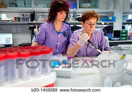 Laboratory technicians using micropipette, Neuroscience lab, Research in neuromuscular disorders, neurodegenerative diseases, parkinson, dementia and multiple sclerosis, Biodonostia Health and Biomedicine Research Institute View Large Photo Image Stock Photo - Laboratory technicians using micropipette, Neuroscience lab, Research in neuromuscular disorders, neurodegenerative diseases, parkinson, dementia and multiple sclerosis, Biodonostia Health and Biomedicine Research Institute. Fotosearch
