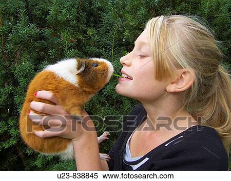 Lady and the tramp, girl with guinea pig View Large Photo Image Stock Photography - Lady and the tramp, girl with guinea pig. Fotosearch