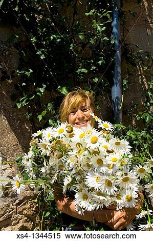 Lady smiling behind a huge bouquet of daisies View Large Photo Image Stock Photography - Lady smiling behind a huge bouquet of daisies. Fotosearch