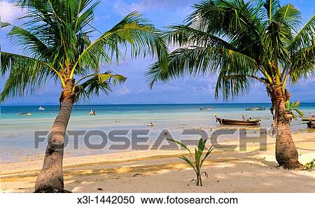 Laem Tom Beach Ko Phi Phi Doni Krabi province Thailand View Large Photo Image Stock Image - Laem Tom Beach Ko Phi Phi Doni Krabi province Thailand. Fotosearch