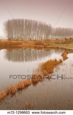 Lagoons of Cantalejo, Segovia province, Castilla-Leon, Spain View Large Photo Image Stock Image - Lagoons of Cantalejo, Segovia province, Castilla-Leon, Spain. Fotosearch