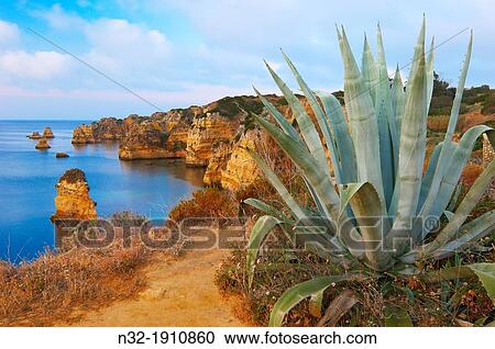 Lagos, Dona Ana Beach, Lagoa, Praia da Dona Ana, Algarve, Portugal, Europe View Large Photo Image Stock Image - Lagos, Dona Ana Beach, Lagoa, Praia da Dona Ana, Algarve, Portugal, Europe. Fotosearch