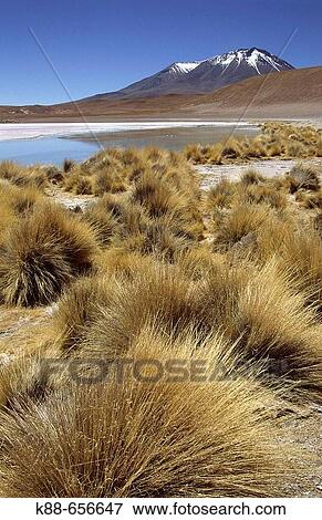Stock Photo - Laguna Caapa. South Lipez, Bolivia.. Fotosearch