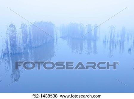 Laguna de Pitillas Nature Reserve, Navarra, Spain, Europe. View Large Photo Image Stock Photo - Laguna de Pitillas Nature Reserve, Navarra, Spain, Europe.. Fotosearch