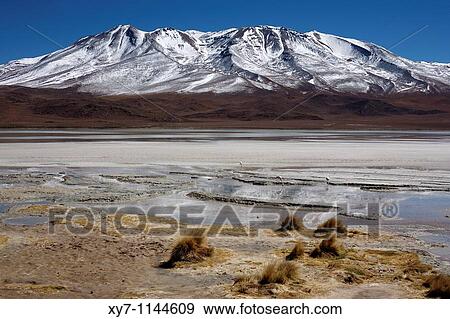 Laguna Hedionda in the southern altiplano near Uyuni in Bolivia View Large Photo Image Stock Photo - Laguna Hedionda in the southern altiplano near Uyuni in Bolivia. Fotosearch