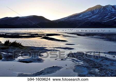 Picture - Laguna Hedionda is a saline lake in the Nor L? pez Province, Potos? Department in Bolivia. It is notable for various migratory species of pink and white flamingos.. Fotosearch