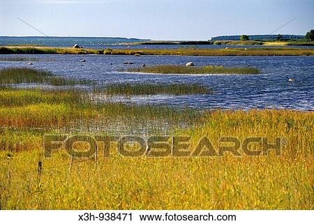 lagune de Virtsu, Estonie, pays balte, europe du nord View Large Photo Image Stock Image - lagune de Virtsu, Estonie, pays balte, europe du nord. Fotosearch