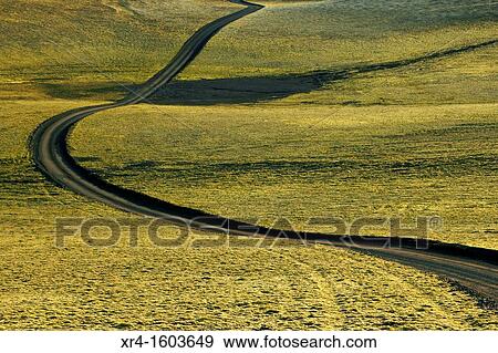 Lakagigar area, Skaftafell National Park, Iceland View Large Photo Image Stock Photo - Lakagigar area, Skaftafell National Park, Iceland. Fotosearch
