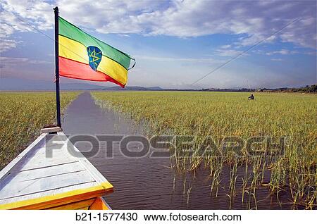 Lake Awasa, Ethiopia View Large Photo Image Stock Image - Lake Awasa, Ethiopia. Fotosearch