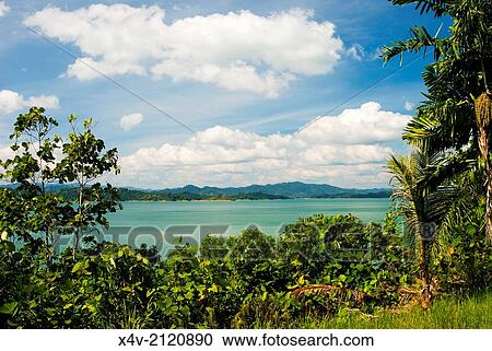 Stock Image - Lake Batang Ai, Batang Ai National Park, Sarawak, Malaysian Borneo, Malaysia, Southeast Asia, Asia,.. Fotosearch