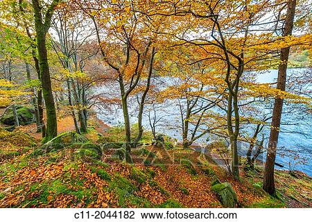 lake district; cumbria; england; uk; europe;. View Large Photo Image Stock Image - lake district; cumbria; england; uk; europe;.. Fotosearch