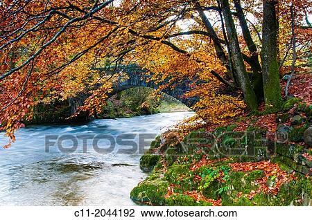 Lake District; Cumbria; national park; England; UK. View Large Photo Image Stock Image - Lake District; Cumbria; national park; England; UK.. Fotosearch