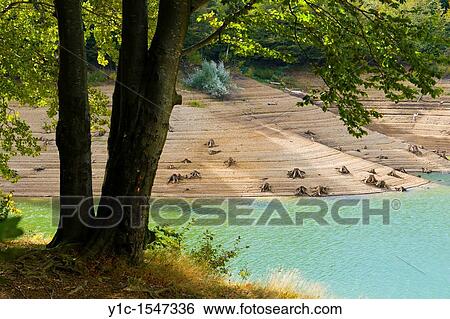 Lake Lokve in Croatia, very low tide in late Summer View Large Photo Image Stock Photograph - Lake Lokve in Croatia, very low tide in late Summer. Fotosearch