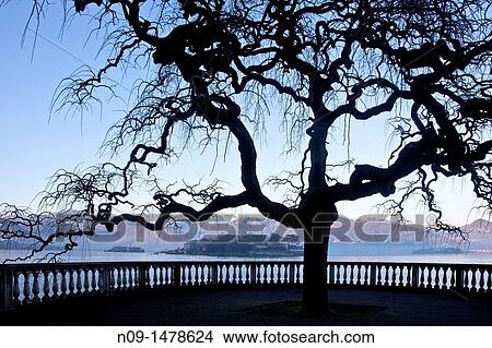 Lake Maggiore, italy. View Large Photo Image Picture - Lake Maggiore, italy.. Fotosearch