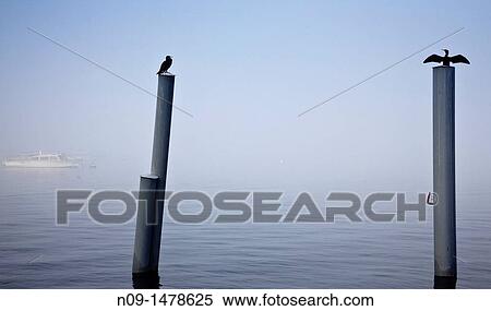 Lake Maggiore, italy. View Large Photo Image Stock Photography - Lake Maggiore, italy.. Fotosearch