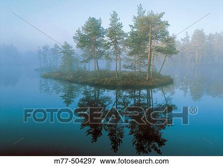 Stock Photo - Lake, mist, fog, summer morning, pine forets, island, water. Knuthojdsmossen. V? stmanland. Sweden.. Fotosearch