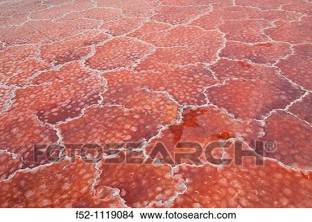 Lake Natron, Rift Valley, Tanzania View Large Photo Image Picture - Lake Natron, Rift Valley, Tanzania. Fotosearch