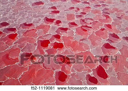 Lake Natron, Rift Valley, Tanzania View Large Photo Image Stock Image - Lake Natron, Rift Valley, Tanzania. Fotosearch