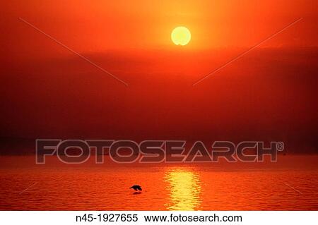Lake Victoria; Sunrise; Fisher Boats in the morning Haze; Uganda. View Large Photo Image Stock Photography - Lake Victoria; Sunrise; Fisher Boats in the morning Haze; Uganda.. Fotosearch