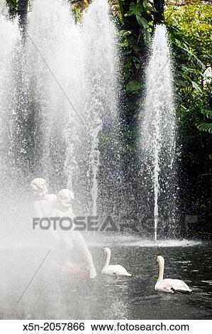 Lake with Swans and Satue, Funchal, Madeira, Portugal, Europe. View Large Photo Image Stock Photograph - Lake with Swans and Satue, Funchal, Madeira, Portugal, Europe.. Fotosearch
