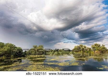 Lakes in the Danube Delta, romania, thunderstorm clouds form in the air, which is full of moisture from the huge evaporation surface of the still flooded Delta Big willows, alder and ash trees from a riparian forest along the channels View Large Photo Image Stock Image - Lakes in the Danube Delta, romania, thunderstorm clouds form in the air, which is full of moisture from the huge evaporation surface of the still flooded Delta Big willows, alder and ash trees from a riparian forest along the channels. Fotosearch