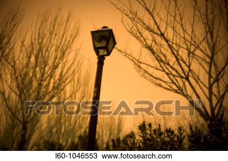 Lamp in evening, Alcorc? n, Madrid, Spain View Large Photo Image Stock Image - Lamp in evening, Alcorc? n, Madrid, Spain. Fotosearch