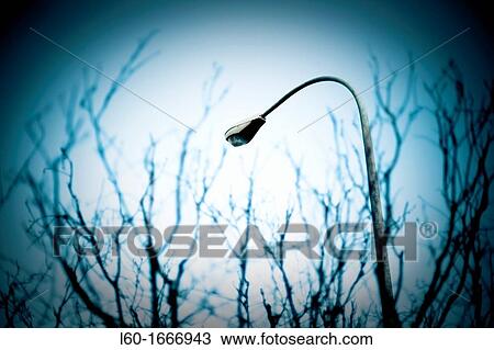 Lamp View Large Photo Image Stock Image - Lamp. Fotosearch