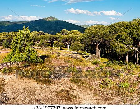 Stock Photo - Lancharrasa hill in Cadalso de los Vidrios. Madrid. Spain.. Fotosearch