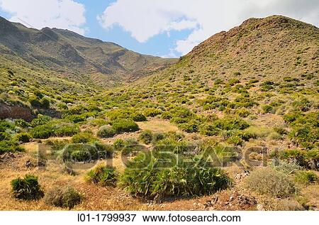 Stock Photo - Landscape, Almer? a province, Andalusia, Spain. Fotosearch
