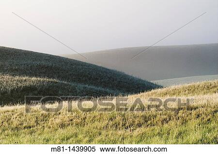Landscape and morning mist in Grasslands National Park Saskatchewan, Canada. View Large Photo Image Stock Photography - Landscape and morning mist in Grasslands National Park Saskatchewan, Canada.. Fotosearch