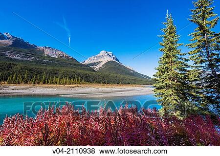 Landscape and North Sasketchwan River on the Columbia Icefield Parkway, Alberta, Canada View Large Photo Image Stock Photo - Landscape and North Sasketchwan River on the Columbia Icefield Parkway, Alberta, Canada. Fotosearch