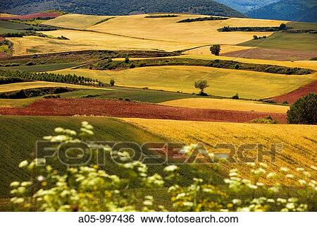 Landscape around San Millan de la Cogolla. La Rioja. Spain. View Large Photo Image Stock Photograph - Landscape around San Millan de la Cogolla. La Rioja. Spain.. Fotosearch
