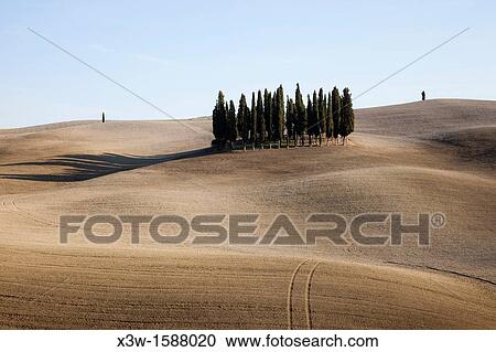 landscape, autumn, san quirico d? orcia, siena province, tuscany, italy, europe View Large Photo Image Stock Image - landscape, autumn, san quirico d? orcia, siena province, tuscany, italy, europe. Fotosearch